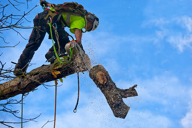 Soil Testing and Treatment in Hopewell, NJ